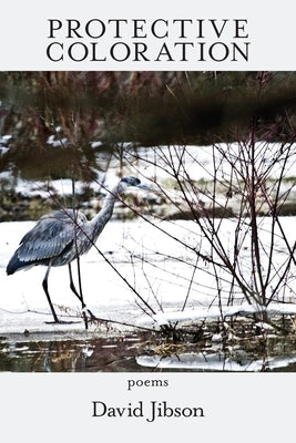 Protective Coloration by Jibson, David