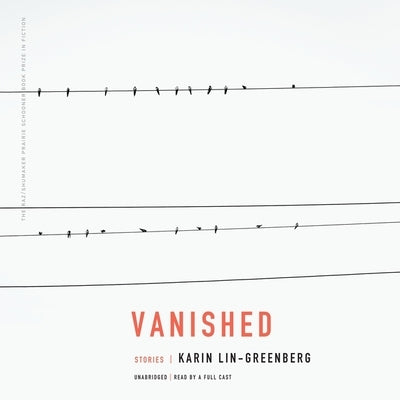 Vanished: Stories by Lin-Greenberg, Karin