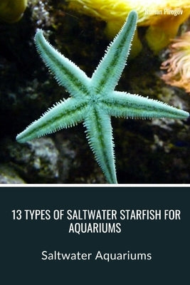 13 Types of Saltwater Starfish for Aquariums: Saltwater Aquariums by Pirogov, Roman