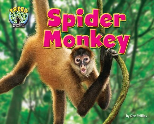 Spider Monkey by Phillips, Dee