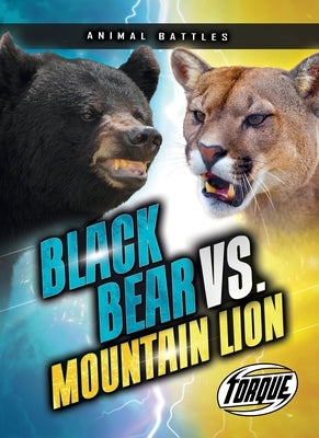 Black Bear vs. Mountain Lion by Sommer, Nathan