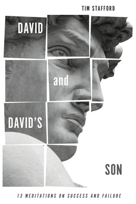 David and David's Son: 13 Meditations on Success and Failure by Stafford, Tim