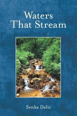 Waters That Stream by Delic, Senka