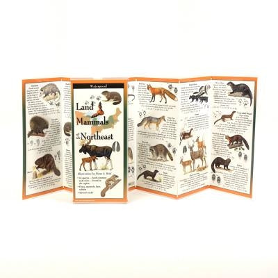 Land Mammals of the Northeast by Reid, Fiona A.