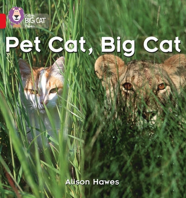 Pet Cat, Big Cat: Band 02a/Red a by Hawes, Alison