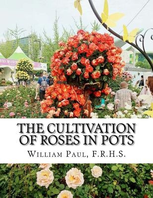 The Cultivation of Roses in Pots: Or; Growing Roses in Containers by Chambers, Roger