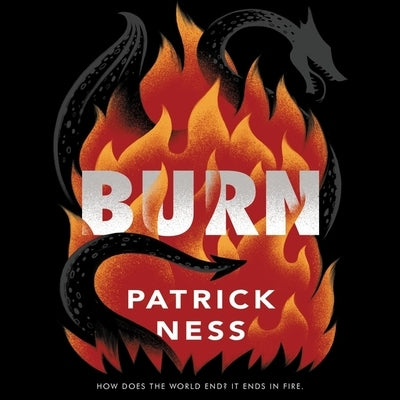 Burn by Ness, Patrick