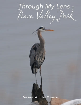 Through My Lens - Peace Valley Park by Delmoore, Susan A.