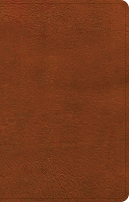 NASB Personal Size Bible, Burnt Sienna Leathertouch by Holman Bible Publishers