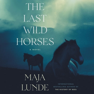 The Last Wild Horses by Lunde, Maja