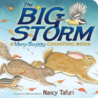 The Big Storm: A Very Soggy Counting Book by Tafuri, Nancy