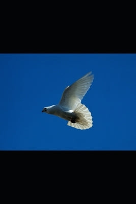 A Miracle of Faith by Charter, Carla