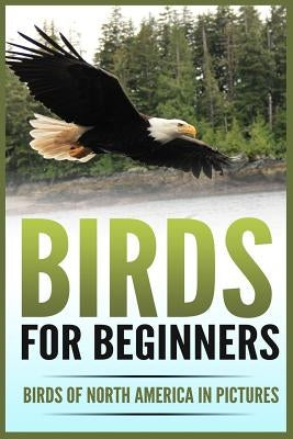 Birds for Beginners: Including 97 Birds of North America in Gorgeous Pictures by Cloverdale, Pippa