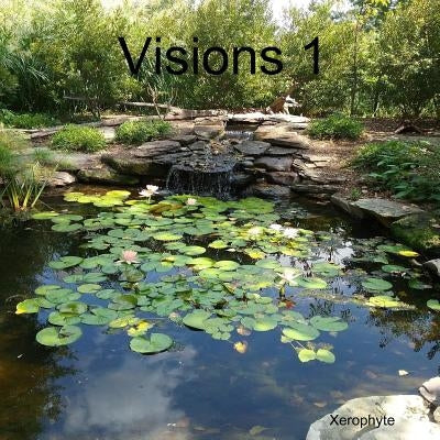 Visions 1 by Xerophyte