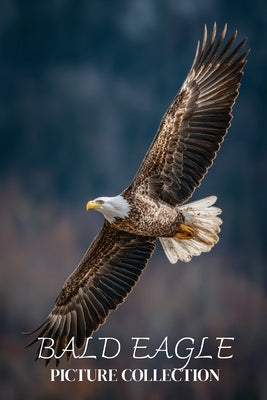 Bald Eagle Photo Collection: Beautiful Full-Page Pictures of Bald Eagles and Eaglets for All Ages (Simple Photo Books). by Ymi Collection