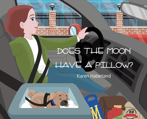 Does the Moon Have a Pillow? by Haberland, Karen