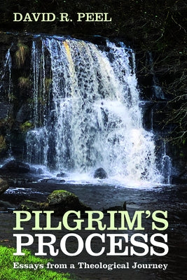 Pilgrim's Process by Peel, David R.