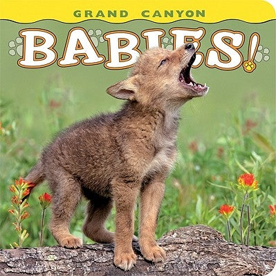 Grand Canyon Babies! by Husar, Lisa
