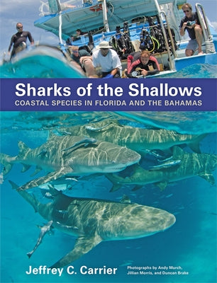 Sharks of the Shallows: Coastal Species in Florida and the Bahamas by Carrier, Jeffrey C.