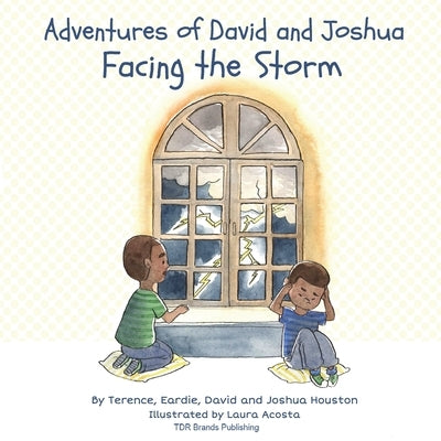 Facing the Storm by Houston, Terence