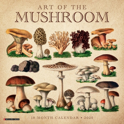 Art of the Mushroom 2025 12 X 12 Wall Calendar by Willow Creek Press