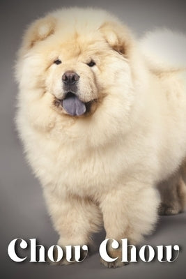 Chow Chow: Dog breed overview and guide by Pustova, Nina