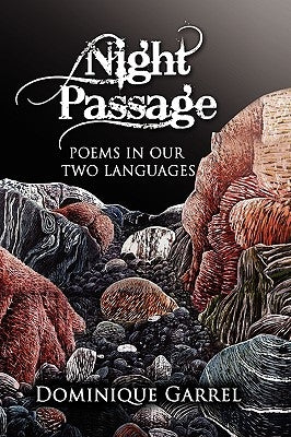 Night Passage by Garrel, Dominique