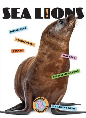 Sea Lions by Gish, Ashley