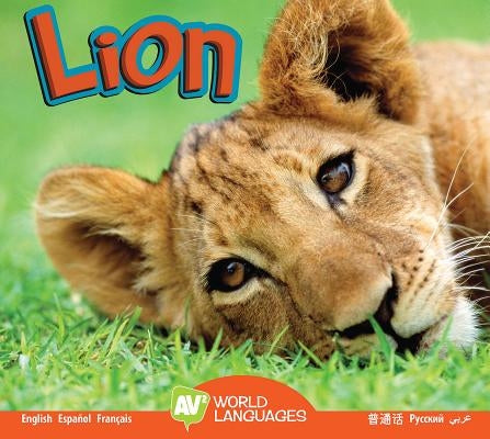 Lion by Durrie, Karen