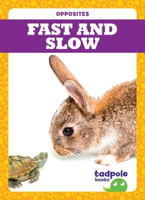 Fast and Slow by Donner, Erica