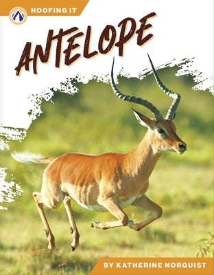 Antelope by Norquist, Katherine