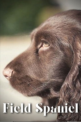 Field Spaniel: Dog breed overview and guide by Pustova, Nina