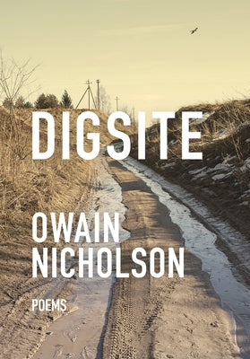 Digsite by Nicholson, Owain