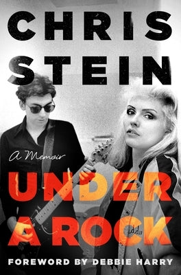 Under a Rock by Stein, Chris