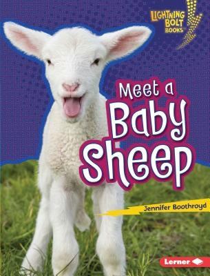 Meet a Baby Sheep by Boothroyd, Jennifer