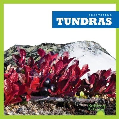 Tundras by Higgins, Nadia