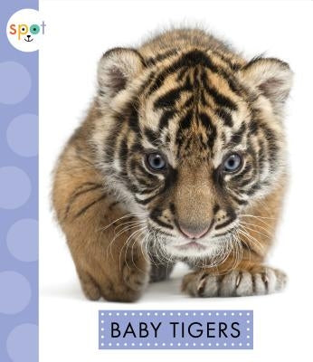 Baby Tigers by Kelley, K. C.