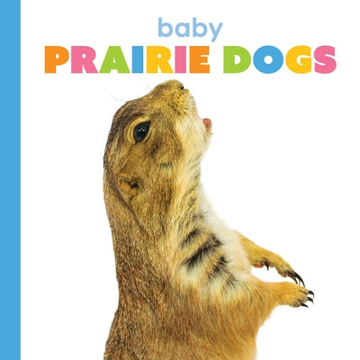 Baby Prairie Dogs by Thompson, Kim