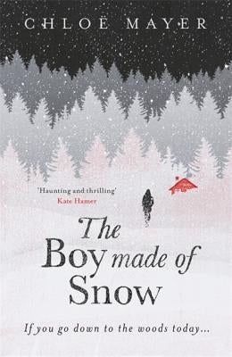 The Boy Made of Snow by Mayer, Chloe