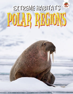 Polar Regions by Kington, Emily