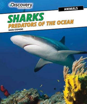 Sharks: Predators of the Ocean by Stephens, David
