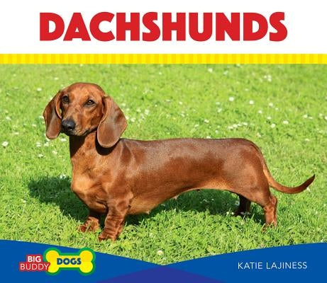 Dachshunds by Lajiness, Katie