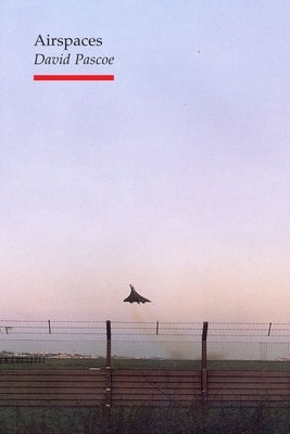 Airspaces by Pascoe, David