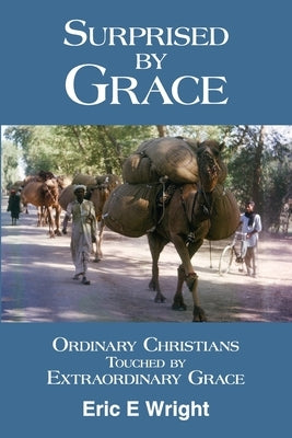 Surprised by Grace: Ordinary Christians Touched by Extraordinary Grace by Wright, Mary Helen