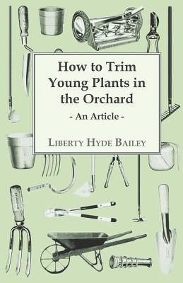 How to Trim Young Plants in the Orchard - An Article by Bailey, L. H.