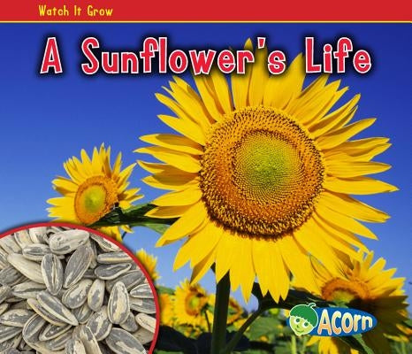 A Sunflower's Life by Dickmann, Nancy