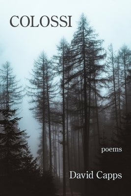 Colossi by Capps, David