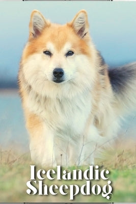 Icelandic Sheepdog: Dog breed overview and guide by Pustova, Nina