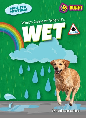 What's Going on When It's Wet by Leatherland, Noah