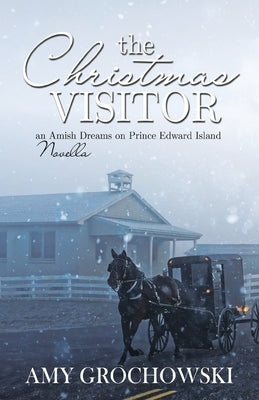 The Christmas Visitor by Grochowski, Amy